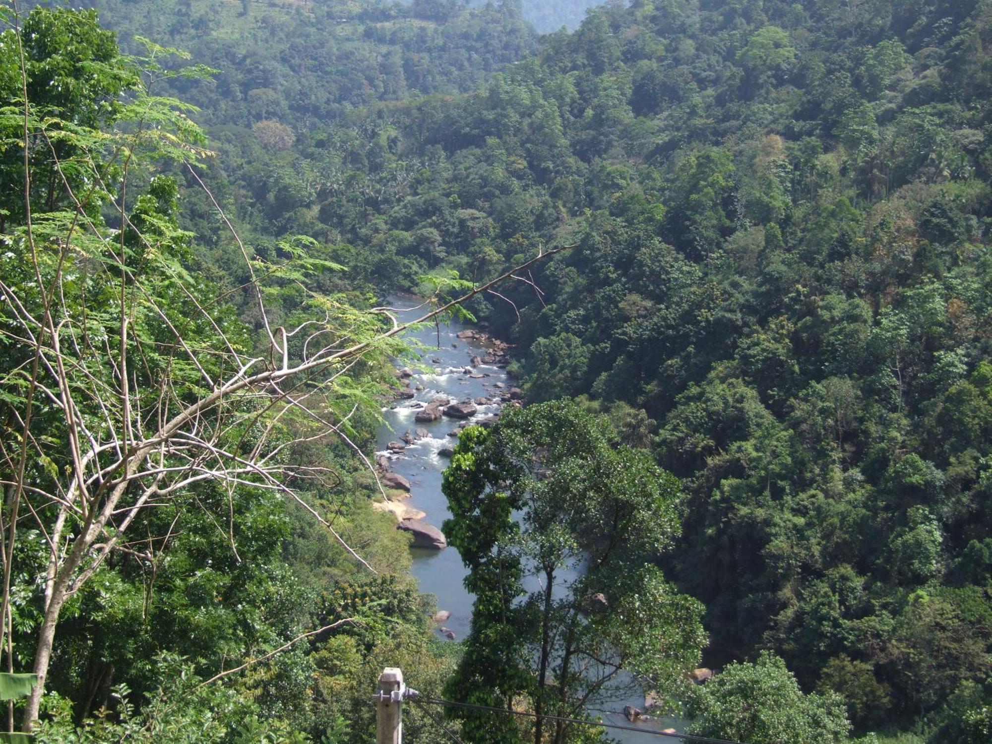 Singing Rivers Nawalapitiya & Kithulgala Adventure Helarambe Exterior photo